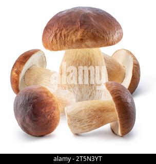 Champignons porcini sur fond blanc. Le fichier contient un chemin de détourage. Banque D'Images