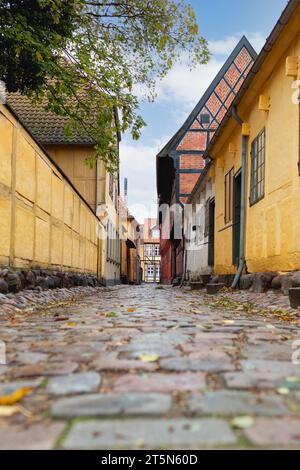 Odense, Danemark - 21 octobre 2023 : ruelle où se trouve le musée d'histoire de la ville d'Odense à l'angle de l'Overgade 48 Banque D'Images