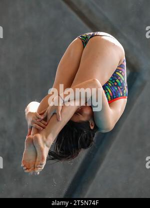 Kuala Lumpur, Malaisie. 05 novembre 2023. Leung Ka Sin de Hong Kong en action dans le 3m Springboard préliminaire féminin pendant les Championnats de plongée Open de Malaisie au National Aquatic Centre, Bukit Jalil. (Photo de Wong Fok Loy/SOPA Images/Sipa USA) crédit : SIPA USA/Alamy Live News Banque D'Images