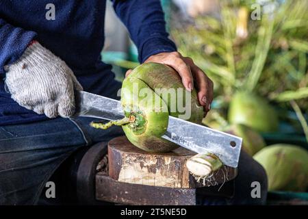 Ratchaburi, Thaïlande. 3 novembre 2023. Un travailleur épluche une noix de coco dans une usine de noix de coco à Damnoen Saduak, province de Ratchaburi, Thaïlande, le 3 novembre 2023. Situé dans la province centrale de Ratchaburi en Thaïlande, à environ 100 km de Bangkok, Damnoen Saduak est bien connu pour son marché flottant centenaire. C'est également la principale région productrice de noix de coco parfumées de Thaïlande, connue pour son arôme unique et son goût sucré. POUR ALLER AVEC 'Feature : l'exportateur thaïlandais de noix de coco a de grands espoirs pour CIIE' crédit : Wang Teng/Xinhua/Alamy Live News Banque D'Images