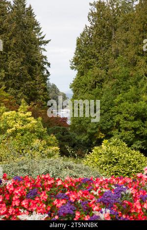 Fleurs et arbustes, les jardins Butchart, lieu historique national, Brentwood Bay (Colombie-Britannique), Canada Banque D'Images