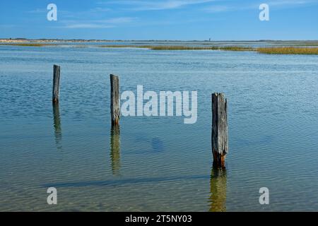 Rangée de poteaux en bois altérés et d'ombres dans les eaux peu profondes des marais salés formées par la chaussée de Provincetown. Phares Wood End et long point à l'horizon Banque D'Images