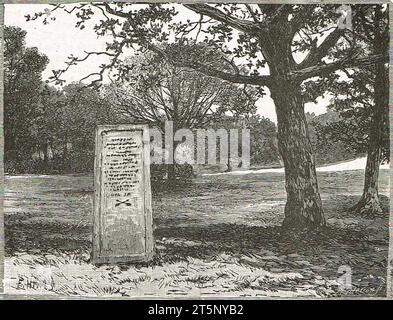 Pierre dans la New Forest marquant l'endroit où William Rufus (Guillaume II d'Angleterre) a été tué le 2 août 1100 Banque D'Images