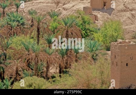 Wadi Dawan est une ville et une vallée désertique dans le centre du Yémen. Situé dans le gouvernorat d'Hadhramaut, il est connu pour ses bâtiments en briques de terre. Banque D'Images