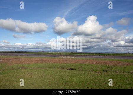 Marais gorgé d'eau au bord de la rivière Douglas avec une vue lointaine sur les Bells de Bleasdale et West Pennine Moors de Hesketh Bank Lancashire Angleterre Banque D'Images