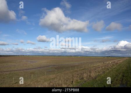 Hesketh Out Marsh sur l'estuaire Ribble avec une vue lointaine sur le Bleasdale Fells Lancashire Angleterre Banque D'Images