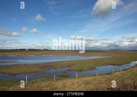 Hesketh Out Marsh sur l'estuaire Ribble avec une vue lointaine sur le Bleasdale Fells Lancashire Angleterre Banque D'Images