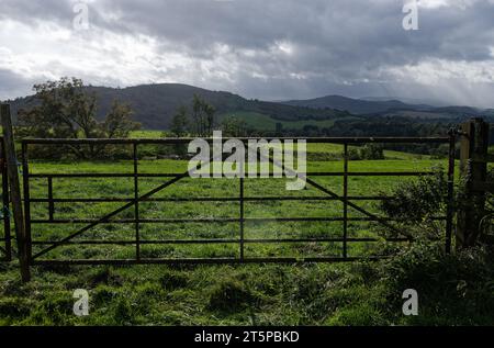 Porte métallique vers un champ avec Auchnafree et Choinneachain Hills en arrière-plan. Banque D'Images