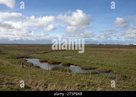 Les marais Ribble regardant vers la rivière Ribble et la côte de Fylde à Warton et Lytham Banque D'Images