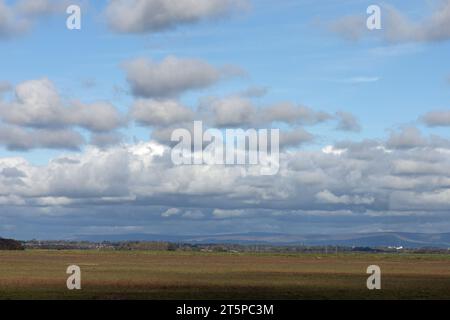 Salt Marsh la réserve naturelle nationale de l'estuaire de Ribble près de Hesketh Bank en face de Lytham sur la côte Fylde Lancashire Angleterre Banque D'Images