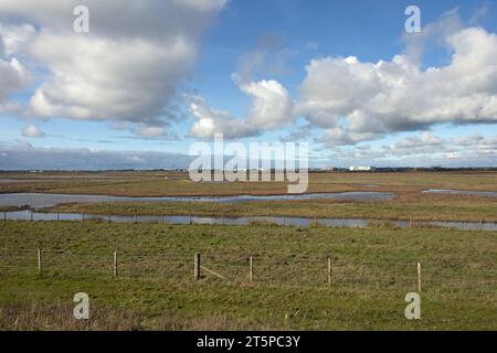 Salt Marsh la réserve naturelle nationale de l'estuaire de Ribble près de Hesketh Bank en face de Lytham sur la côte Fylde Lancashire Angleterre Banque D'Images