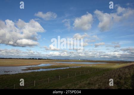 Salt Marsh la réserve naturelle nationale de l'estuaire de Ribble près de Hesketh Bank en face de Lytham sur la côte Fylde Lancashire Angleterre Banque D'Images