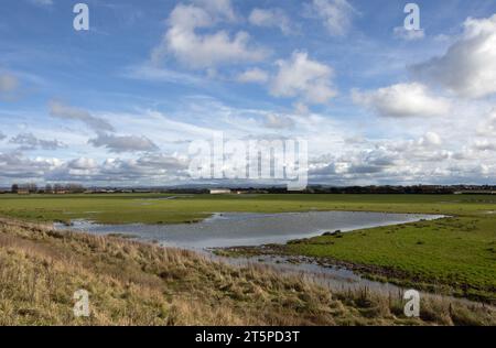 Champs gorgés d'eau sur des terres agricoles à Becconsall près de Southport Lancashire Angleterre Banque D'Images