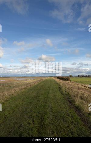 Salt Marsh la réserve naturelle nationale de l'estuaire de Ribble près de Hesketh Bank en face de Lytham sur la côte Fylde Lancashire Angleterre Banque D'Images