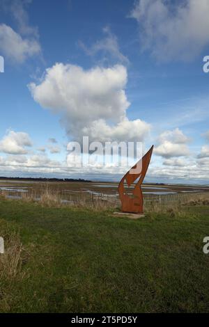 Salt Marsh la réserve naturelle nationale de l'estuaire de Ribble près de Hesketh Bank en face de Lytham sur la côte Fylde Lancashire Angleterre Banque D'Images