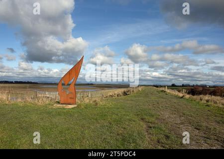 Salt Marsh la réserve naturelle nationale de l'estuaire de Ribble près de Hesketh Bank en face de Lytham sur la côte Fylde Lancashire Angleterre Banque D'Images