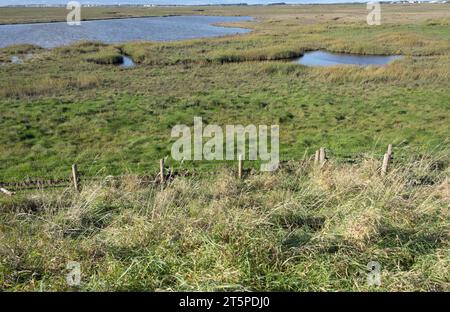 Salt Marsh la réserve naturelle nationale de l'estuaire de Ribble près de Hesketh Bank en face de Lytham sur la côte Fylde Lancashire Angleterre Banque D'Images