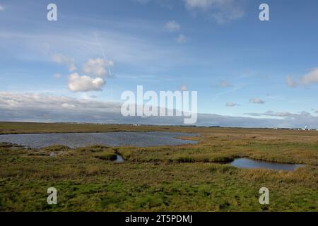 Salt Marsh la réserve naturelle nationale de l'estuaire de Ribble près de Hesketh Bank en face de Lytham sur la côte Fylde Lancashire Angleterre Banque D'Images