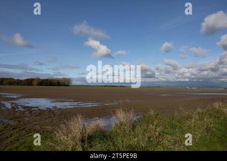 Champs gorgés d'eau sur des terres agricoles à Becconsall près de Southport Lancashire Angleterre Banque D'Images