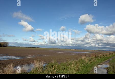 Champs gorgés d'eau sur des terres agricoles à Becconsall près de Southport Lancashire Angleterre Banque D'Images