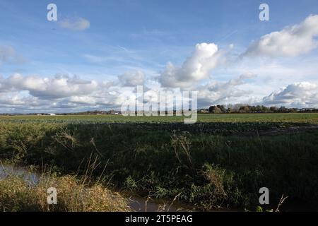 Champs gorgés d'eau sur des terres agricoles à Becconsall près de Southport Lancashire Angleterre Banque D'Images