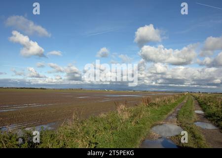 Champs gorgés d'eau sur des terres agricoles à Becconsall près de Southport Lancashire Angleterre Banque D'Images