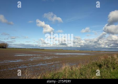 Champs gorgés d'eau sur des terres agricoles à Becconsall près de Southport Lancashire Angleterre Banque D'Images