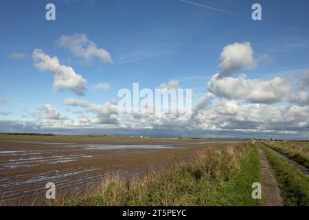 Champs gorgés d'eau sur des terres agricoles à Becconsall près de Southport Lancashire Angleterre Banque D'Images