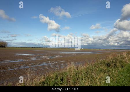 Champs gorgés d'eau sur des terres agricoles à Becconsall près de Southport Lancashire Angleterre Banque D'Images