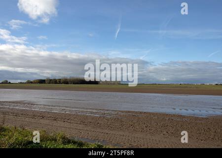 Champs gorgés d'eau sur des terres agricoles à Becconsall près de Southport Lancashire Angleterre Banque D'Images