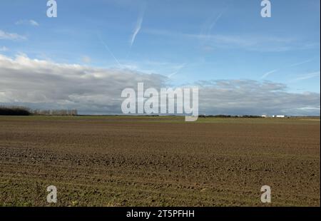 Champs gorgés d'eau sur des terres agricoles à Becconsall près de Southport Lancashire Angleterre Banque D'Images