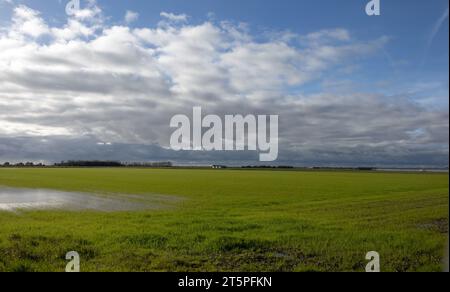 Champs gorgés d'eau sur des terres agricoles à Becconsall près de Southport Lancashire Angleterre Banque D'Images