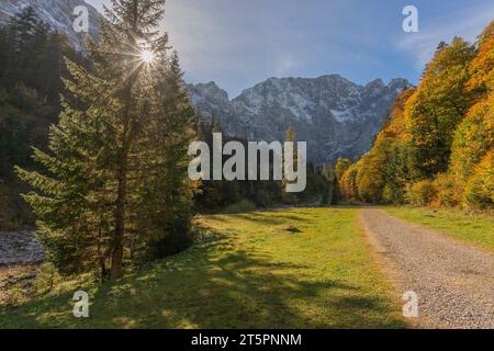 Sentier de randonnée à travers le foilage d'automne, saison d'automne dans l'étroite Engtal ou la vallée d'Eng, Hinterriss, Tyrol, Autriche, Europe Banque D'Images