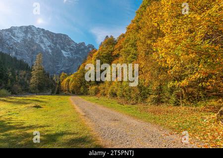 Sentier de randonnée à travers le foilage d'automne, saison d'automne dans l'étroite Engtal ou la vallée d'Eng, Hinterriss, Tyrol, Autriche, Europe Banque D'Images