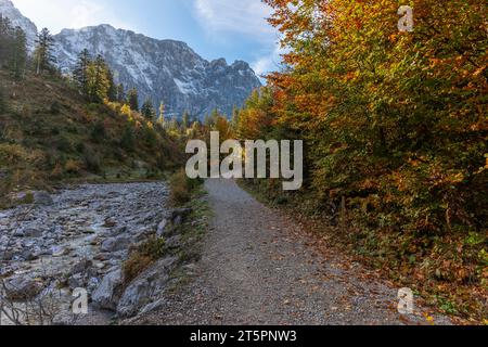 Vues de la crique de montagne Enger Grundbach dans le foilage d'automne, saison d'automne dans l'étroite Engtal ou Eng Valley, Hinterriss, Tyrol, Autriche, Europe Banque D'Images