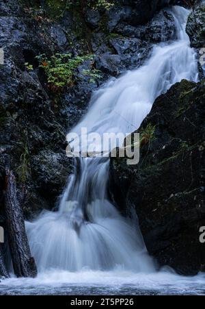 Chute d'eau sur Todd Creek dans le parc provincial Sooke Potholes en Colombie-Britannique, Canada. Banque D'Images