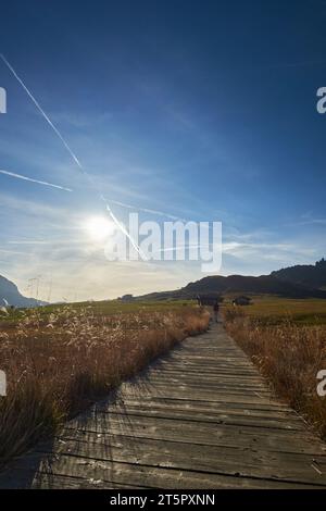 Chemin en bois sur le Seiser Alm, Tyrol du Sud Banque D'Images