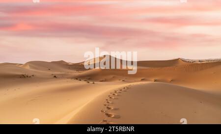 Sentier d'empreinte de chameau sur les dunes de sable du désert du Sahara en Afrique du Nord, une vaste étendue de sable et de dunes qui s'étend à perte de vue. Banque D'Images