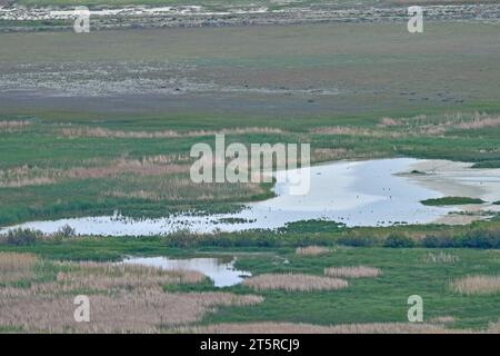 Lagune fournissant une entrée d'eau douce au lac Burdur. Vue aérienne. Burdur, Turquie. Banque D'Images