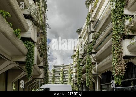 Vue frontale de la façade d'une urbanisation de bâtiments en béton avec de grandes vignes entre les balcons qui longent les façades sur une journée avec des nuages Banque D'Images