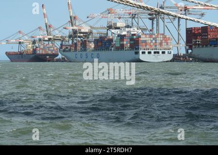 D'énormes navires porte-conteneurs entièrement chargés sont déchargés avec des grues portiques actionnées par des débardeurs sont dans le port de Kingston. Banque D'Images