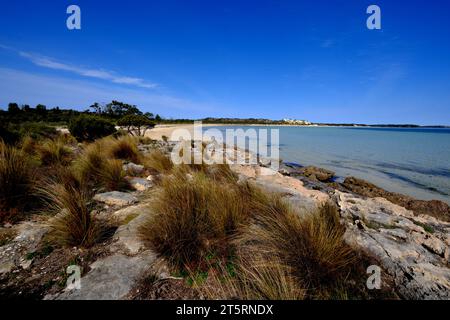 Plage de sable déserte à Coffin Bay dans la région de la péninsule d'Eyre en Australie méridionale Banque D'Images