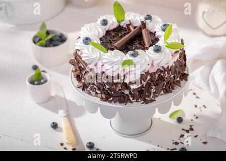 Gâteau aux myrtilles maison avec crème et flocons de chocolat. Gâteau crémeux avec chocolat et baies. Banque D'Images