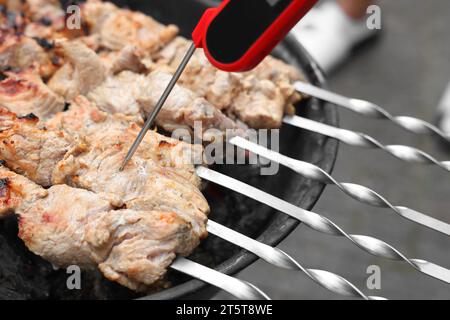 Mesure de la température de délicieux kebab sur brasero en métal à l'extérieur, gros plan Banque D'Images