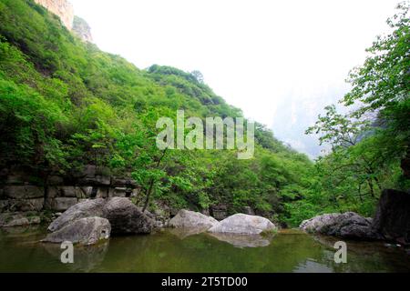 Paysage naturel de montagne yuntai, ville de jiaozuo, province du henan, Chine. Banque D'Images