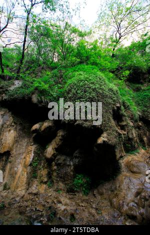 Paysage de montagne Yuntai, jiaozuo, province du henan, Chine. Banque D'Images