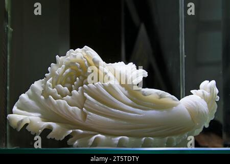 Sculpture de chou de jade, gros plan de photo Banque D'Images