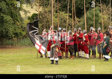 Enseigne brandissant un drapeau lors d'une reconstitution historique du siège de Basing House, de la guerre civile anglaise, ECWS 16.09.23 Basingstoke Banque D'Images