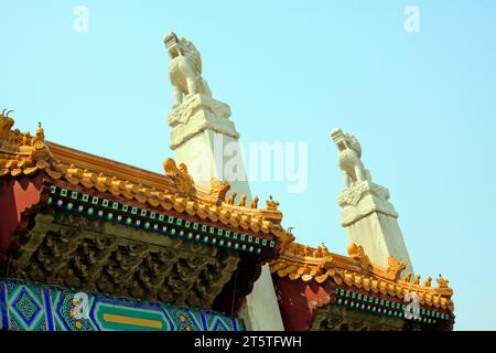 dieu bête rugit vers le ciel dans les tombes royales orientales de la dynastie Qing, gros plan de la photo Banque D'Images