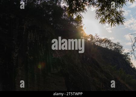 Soleil couchant derrière la montagne dans la région pittoresque de Wuyishan, Fujian, Chine. Bamboo au premier plan, copier l'espace pour le texte Banque D'Images